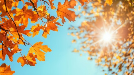 Beautiful Autumn Landscape: Bright Yellow and Orange Leaves Cover the Nature Scene, With Colorful Foliage and Maple Trees in a Scenic Fall Display During the Season of Change in the Forest and Park.