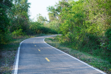 Empty curved concrete roadway winds through a green nature park with trees and plants in the forest, national park view in Thailand