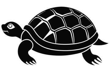 brazilian-turtle-with-short-nails-white-background (1).eps