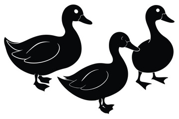 set-of-4-vector-black-silhouettes-of-duck---in-dif.eps