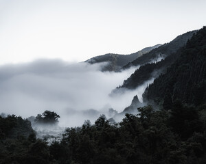 fog over the mountains