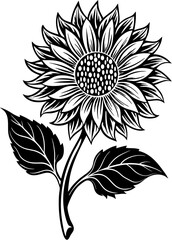 illustration flower vector. sunflower vector .daisy vector . flower outline vector