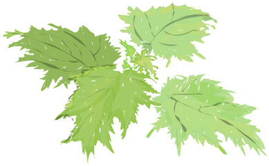 私が台湾で出会った素敵なものたち/The Wonderful Things I Encountered in Taiwan/我在台灣遇見的美好事物