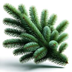 Obraz premium Close-Up of Evergreen Pine Branch with Needles, Isolated on White Background, Perfect for Christmas Decorations, Winter Holiday Designs, Natural Forest Elements