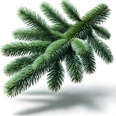 Close-Up of Evergreen Pine Branch with Needles, Isolated on White Background, Perfect for Christmas Decorations, Winter Holiday Designs, Natural Forest Elements