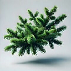 Close-Up of Evergreen Pine Branch with Needles, Isolated on White Background, Perfect for Christmas Decorations, Winter Holiday Designs, Natural Forest Elements