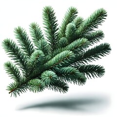 Fototapeta premium Close-Up of Evergreen Pine Branch with Needles, Isolated on White Background, Perfect for Christmas Decorations, Winter Holiday Designs, Natural Forest Elements