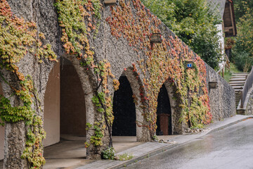 A stone wall with ivy-covered arches on a rainy day, showcasing colorful leaves and a pathway leading through the arches.