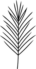Fototapeta premium Elegant Pine Needle Thin Line Vector Art for Graphic Use 
