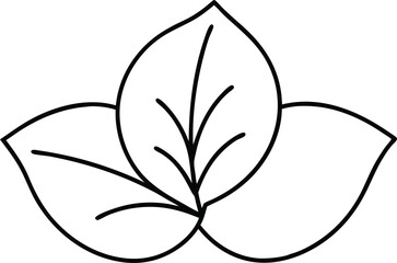 Minimalist Petunia Leaf Thin Line Icon Vector Graphic for Designers
