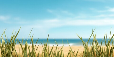 A close-up of blades of grass in the foreground, with a beach and ocean in the background.