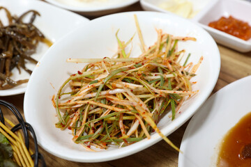 Korea style Spring Onion Salad. spicy sald