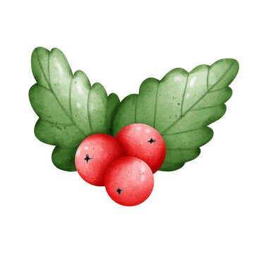 holly berries with leaves