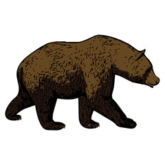 silhouette of a bear comic cartoon 