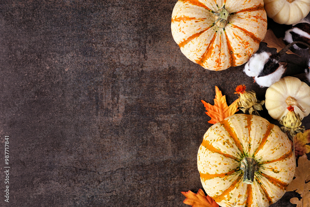 Poster Fall side border of white pumpkins and natural decor. Overhead view on a rustic dark stone background with copy space.