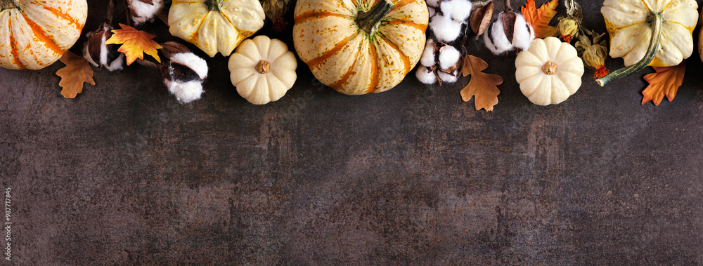 Poster fall top border of white pumpkins, gourds and natural decor. above view on a rustic dark stone banne
