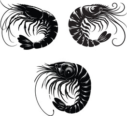 A set of shrimp silhouette vector art style image