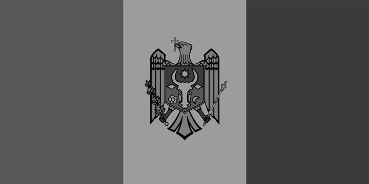 Moldova flag original black and white