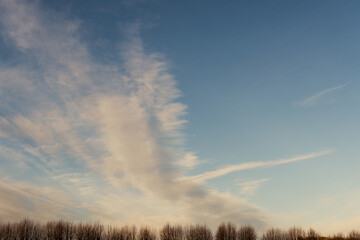 spectacular cloudscape at sunset above a row of trees
