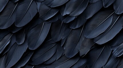 Obraz premium Mystical Crow Feather Pattern: A Minimalistic Display of Rich Black Hues and Subtle Textures