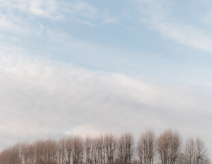 spectacular cloudscape at sunset above a row of trees