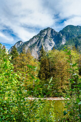 Northwest Mountains And Trees 2