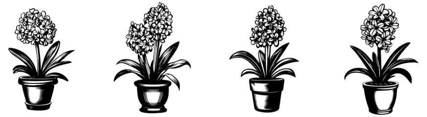 Four illustrated potted plants featuring flowering blooms, showcasing an artistic and decorative style.