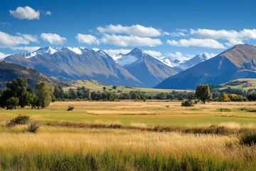 Beautiful mountain range with snowy peaks and a valley of golden grass. Sunny sky and clouds.