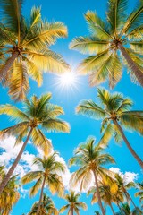 Obraz premium Sunshine filtering through palm trees against a clear blue sky