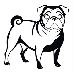 Black and white pug dog vector illustration design.