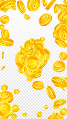 European Union Euro coins falling. Scattered gold