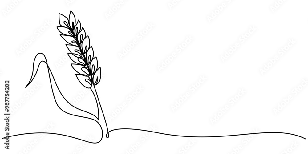 Poster one continuous line. spikelet of wheat. spikelet of a cereal plant. flat minimal icon. one continuou