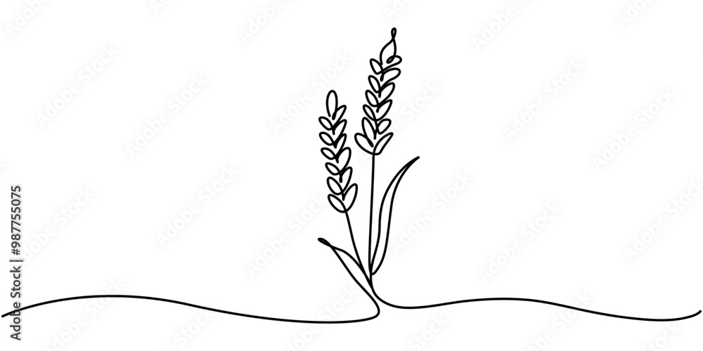 Poster one continuous line. spikelet of wheat. spikelet of a cereal plant. flat minimal icon. one continuou