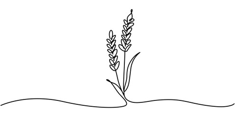One continuous line. Spikelet of wheat. Spikelet of a cereal plant. Flat minimal icon. One continuous line on a white background, Ears of wheat one line drawing on white isolated background