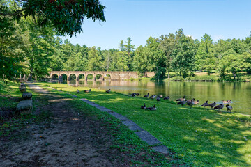 Cumberland mountain state park in Tennessee with geese at the lake