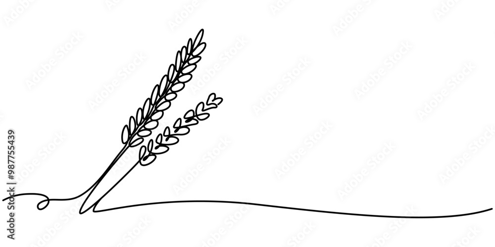 Poster one continuous line. spikelet of wheat. spikelet of a cereal plant. flat minimal icon. one continuou