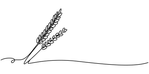 One continuous line. Spikelet of wheat. Spikelet of a cereal plant. Flat minimal icon. One continuous line on a white background, Ears of wheat one line drawing on white isolated background