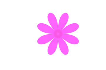 Pink flower isolated on white background, design element. 
