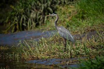 On the Muddy Margins