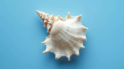 Obraz premium A white seashell with a spiral shape rests on a bright blue background.