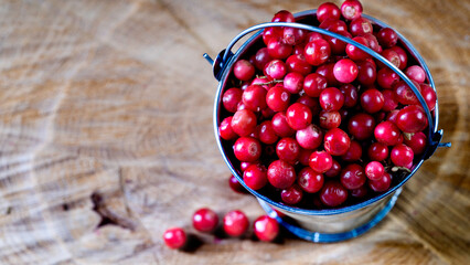 fresh cranberries in a bucket on a wooden background