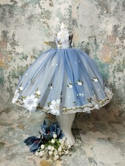 Robe de princesse