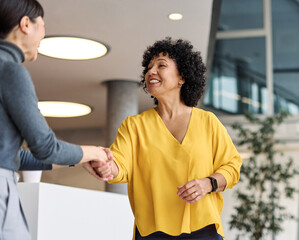 business meeting businesswoman office teamwork handshake agreement applause hand shake shaking...