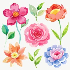 Beautiful Watercolor Flower Vectors for Creative Projects