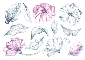 A set with delicate pink and white flowers and leaves. The transparent petals of the flower are made in watercolor. The illustrations are made by hand. For the design of invitations, greeting cards.