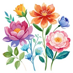 Beautiful Watercolor Flower Vectors for Creative Projects