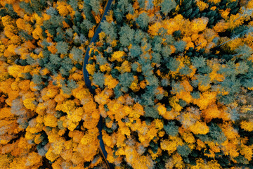Yedigoller National Park. Autumn tree leaves are turning yellow and a magnificent view is obtained....