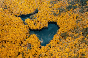 Yedigoller National Park. A naturally occurring lake among yellowed trees in autumn. The landscape was photographed with a drone. Bolu, Turkey.