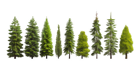 Obraz premium A set fir tree with clipping path, Christmas trees PNG collection, PNG image, PNG files, Generative art.