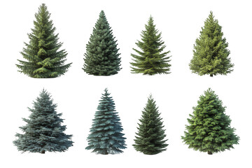 Obraz premium A set fir tree with clipping path, Christmas trees PNG collection, PNG image, PNG files, Generative art.